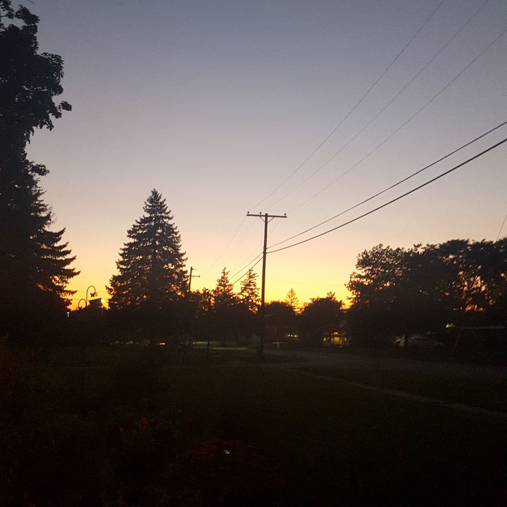 Meet your Posher, Abigale